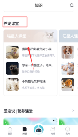 海看爱宠[图4]
