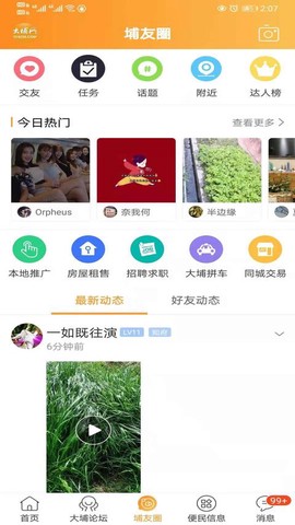 大埔网截图1