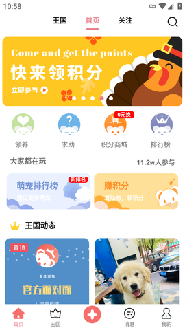 宠物王国[图1]