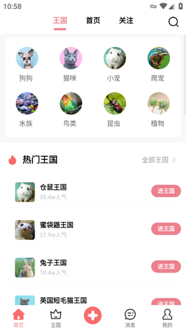 宠物王国[图3]