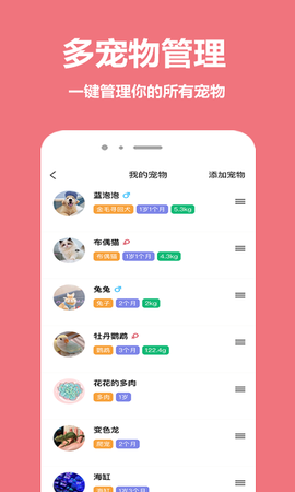 宠物王国截图3