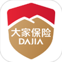 大家保险