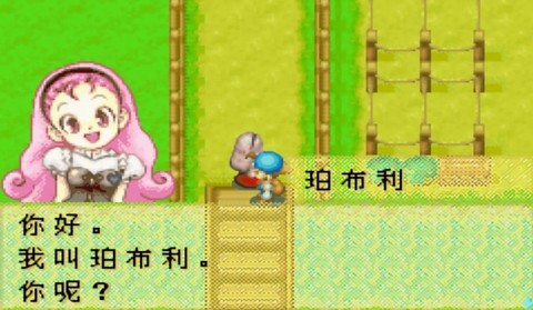 牧场物语风之集市安装器截图3