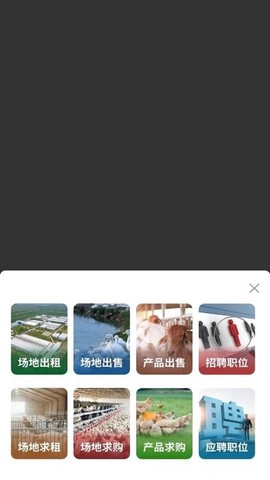 畜牧云端[图1]