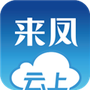 云上来凤
