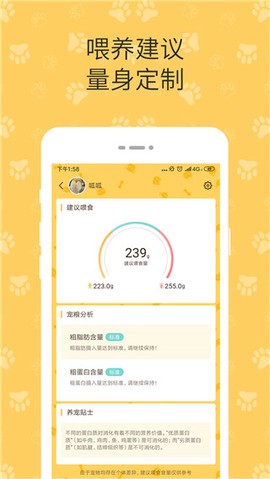 陪彼宠物截图1
