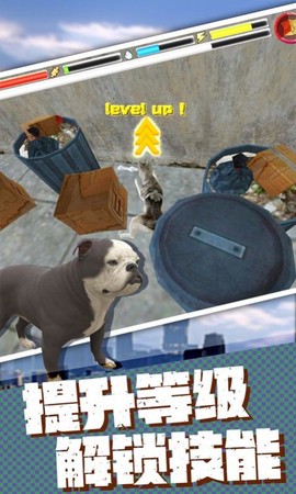 流浪狗生存模拟器截图1