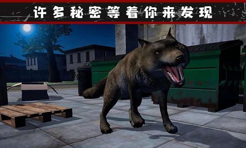 我的流浪生涯截图1