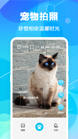 猫语翻译官截图3