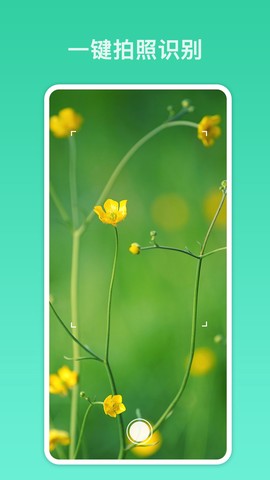 拍照识别君截图2