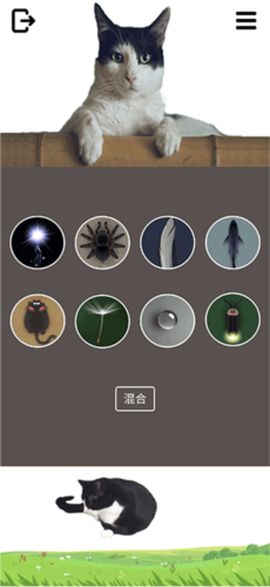 猫狗玩具模拟器截图3