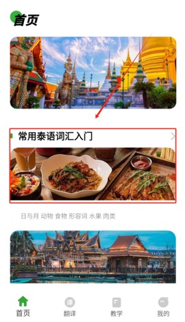 泰语学习截图3
