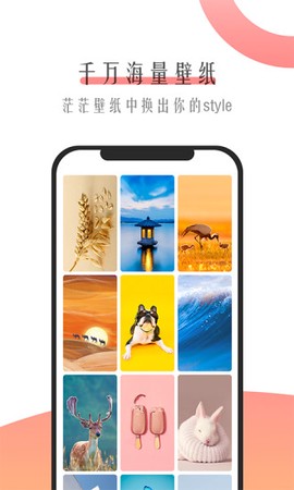 米柚壁纸[图1]