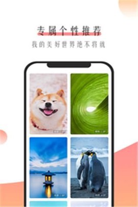 米柚壁纸截图2