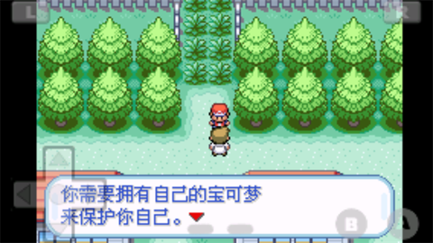 口袋妖怪火红内购破解截图3