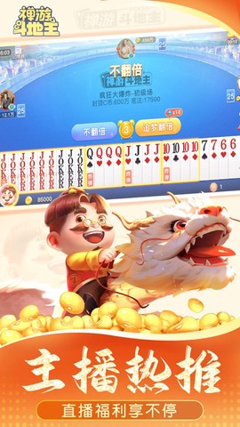禅游斗地主截图2