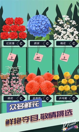 梦想花店[图1]