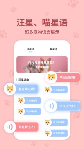 宠物翻译器截图2