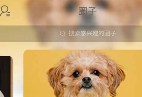 一宠星球[图1]