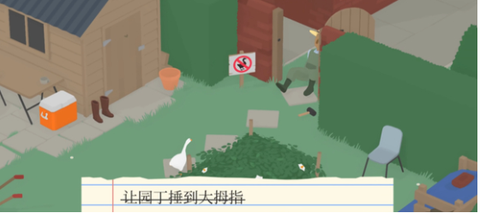 捣蛋鹅[图5]