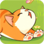 猫咪解压馆