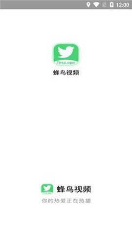 蜂鸟影视截图1