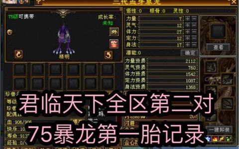 天龙八部暴龙打什么技能[图1]