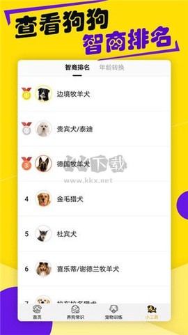 狗语翻译器[图2]