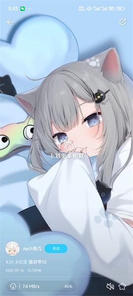 星咩视频壁纸[图3]