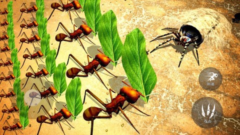 昆虫捣蛋模拟截图1