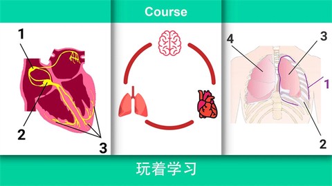 真实医疗模拟器截图2