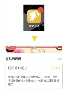育之有道[图8]