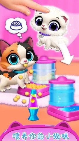 公主宠物小猫咪截图3