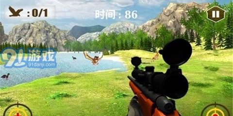 3D猫头鹰狩猎模拟截图1