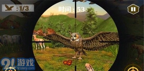 3D猫头鹰狩猎模拟截图3