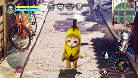 香蕉猫咪[图1]