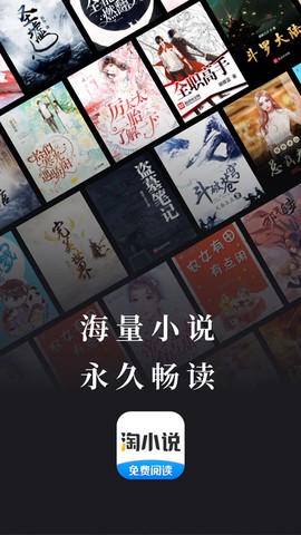淘小说图1