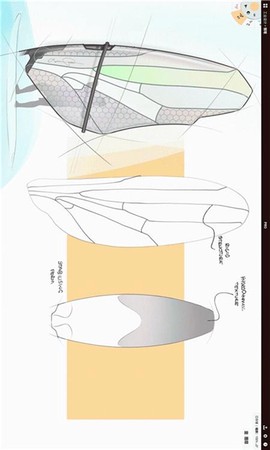 概念画板[图1]