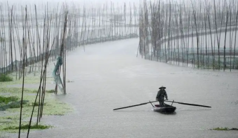 智慧洪湖截图3