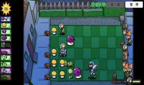 植物大对抗截图3