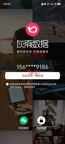灰豚数据[图4]