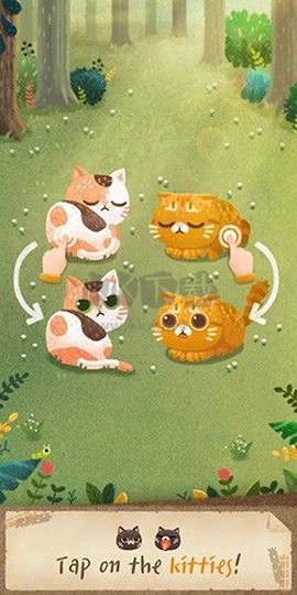 猫咪的秘密森林[图2]