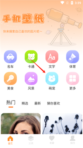 主题盒[图2]