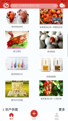 崔家集数字乡村截图1