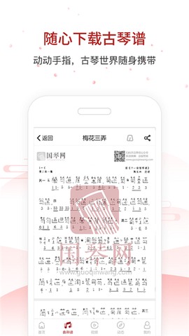 国琴网截图3
