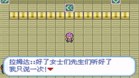 口袋妖怪火箭队汉化作弊版[图3]