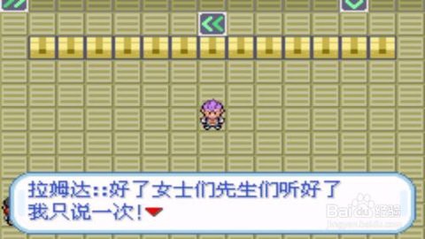 口袋妖怪火箭队汉化作弊版截图3