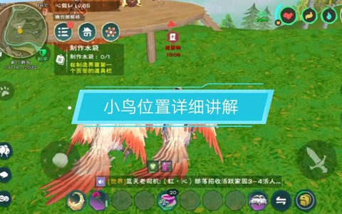 创造与魔法云斑鹦鸟位置在哪[图2]