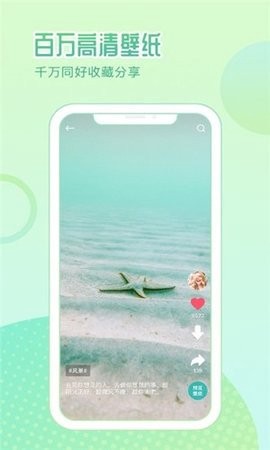 鹦鹉壁纸图2