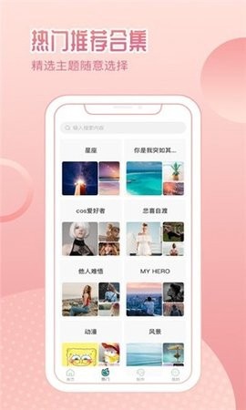 鹦鹉壁纸图3